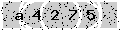 verify code