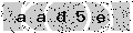 verify code