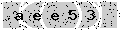 verify code