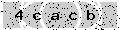 verify code