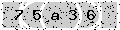 verify code