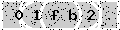 verify code