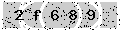 verify code