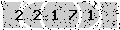 verify code