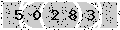 verify code