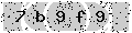 verify code