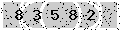 verify code
