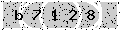 verify code