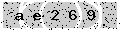 verify code