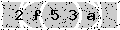 verify code