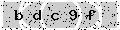 verify code
