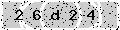 verify code
