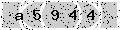 verify code