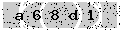 verify code