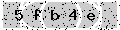 verify code