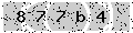 verify code