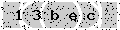 verify code