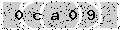 verify code