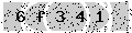 verify code