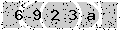 verify code