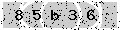verify code