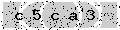 verify code