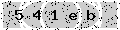 verify code