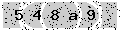 verify code