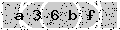 verify code