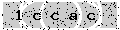 verify code