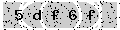 verify code