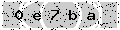 verify code