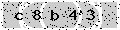 verify code