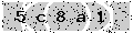 verify code