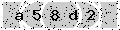 verify code