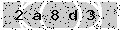 verify code
