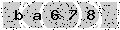verify code