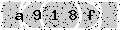 verify code