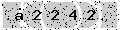 verify code