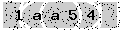 verify code