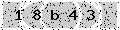 verify code