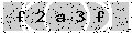 verify code