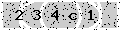 verify code