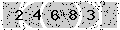 verify code