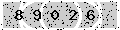 verify code