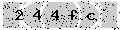 verify code