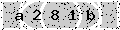 verify code