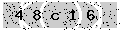 verify code