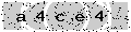 verify code