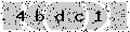 verify code